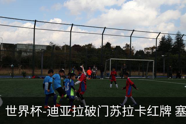 世界杯-迪亚拉破门苏拉卡红牌 塞内加尔半场1-0伊拉克