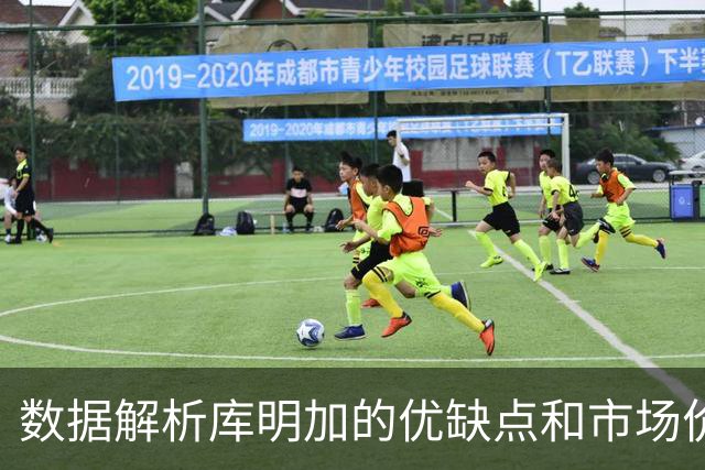 数据解析库明加的优缺点和市场价值，他适合湖人或骑士吗？