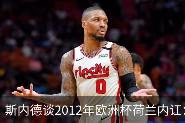 斯内德谈2012年欧洲杯荷兰内讧：亨特拉尔和范博梅尔酒后干了起来