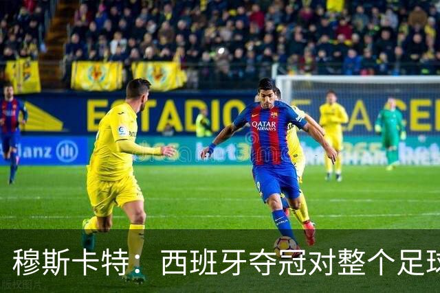 穆斯卡特：西班牙夺冠对整个足球世界来说是非常好的事
