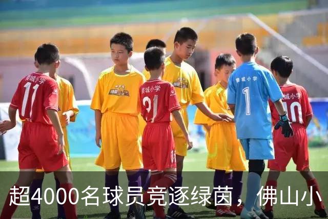 超4000名球员竞逐绿茵，佛山小“西甲”圆满落幕